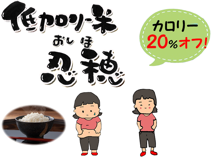 忍穂は、腎臓や肝臓機能に異常がある時のタンパク質制限食用に開発された低カロリーのお米です。